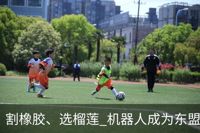 割橡胶、选榴莲 机器人成为东盟市场“新宠” 各国释放明确需求信号